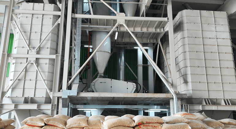 Advantages of Establishing Your Own Feed Production Plant